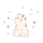 Mufeng的个人资料头像