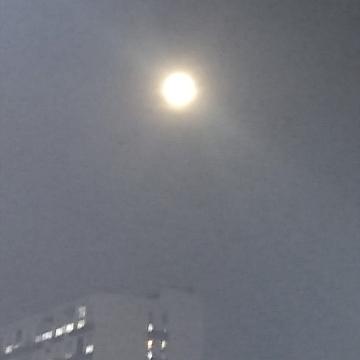 人都说我是漫漫头像