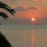 用户5332900402386头像