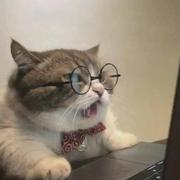 Czpy的个人资料头像