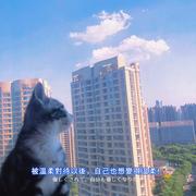 是个小可爱的个人资料头像