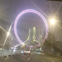 处处蚊子咬7L8I头像