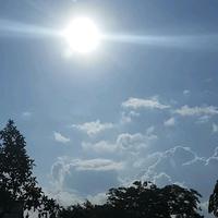 手机用户76368204503头像