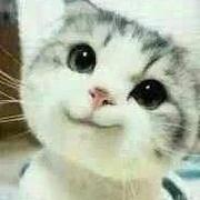 Mrzyy的个人资料头像