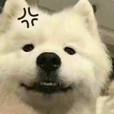 帅帅77777777777777头像