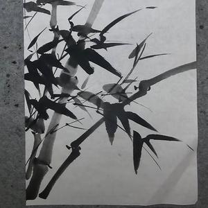 听涛头像