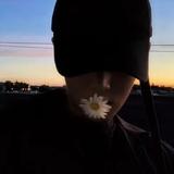 爱情我戒了913头像