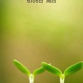 沙依东头像