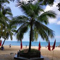 康河水草271头像