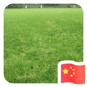 WilliamYuan的个人资料头像