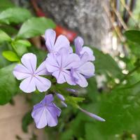 蓝色记忆里1W头像