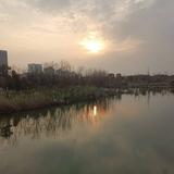 舒佳杰1头像