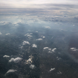 一心一意菠萝chU头像