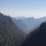 思域RS头像