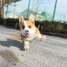 Chen陈渣渣渣绍的个人资料头像