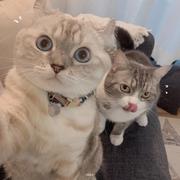 Win9伴清风的个人资料头像