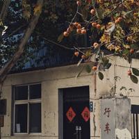 王乐乐的乐头像