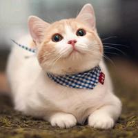 牵颜颜的手到生命的头像