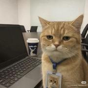 y886的个人资料头像