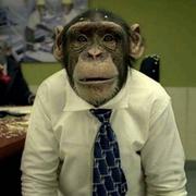 会飞的鱼780的个人资料头像