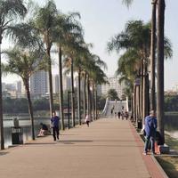 花开蝶自来3420头像