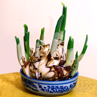 前门老赵爱生活头像