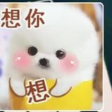 有个傻女人人家动嘴他动心永头像