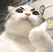 抖音小程序助手_Bala的个人资料头像