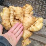 用户2845117148495头像