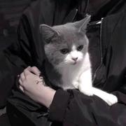 木对林三的个人资料头像