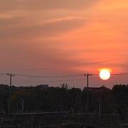 毕先生的个人资料头像