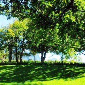 眯格熵岛好物推荐头像