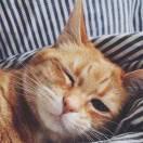 止咳糖浆z的个人资料头像