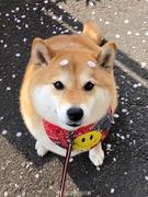 月亮海的个人资料头像