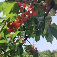 流年似水91725头像