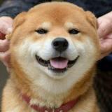 淡忘没烦恼头像