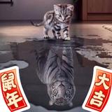 猪亨亨啊头像