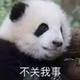 可了个莉头像