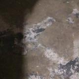 在路上闯天涯头像