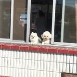 凌海小峰峰头像