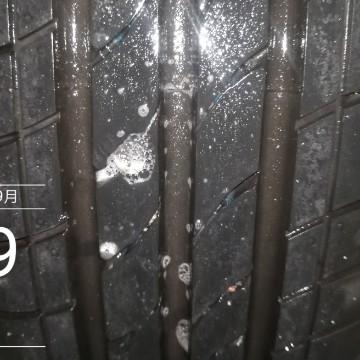 修理工猴子头像