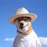 德才兼备雪碧C6C头像