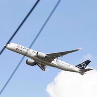 跑道幺九可以起飞头像