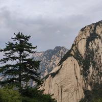 安心很心安头像