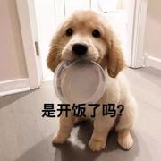 前端劝退工程师的个人资料头像