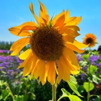 用户66662471839头像