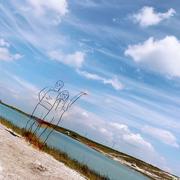 木头人176的个人资料头像