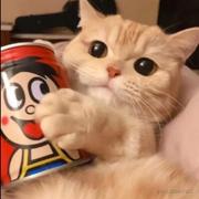 Cyanv的个人资料头像