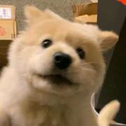 3m11的个人资料头像