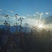 归零290的个人资料头像